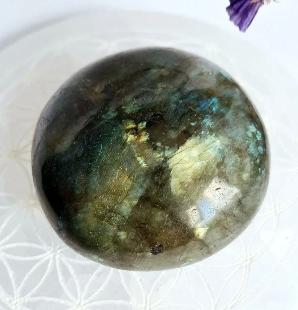 Galets Labradorite